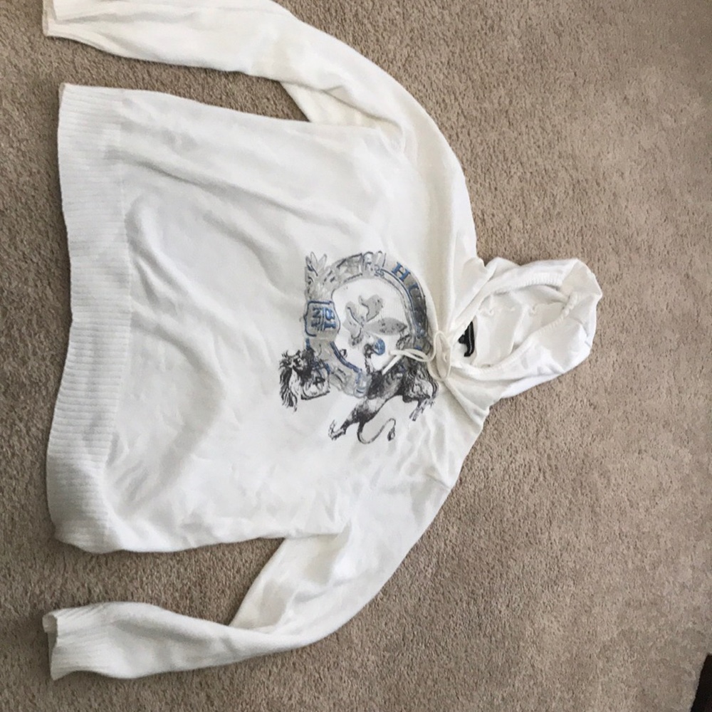 Express hooded sweater
